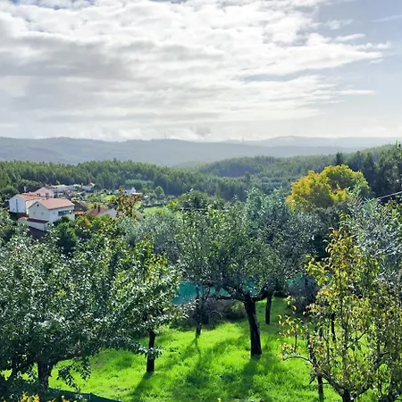 A Quinta Da Colina Adega Holiday home *