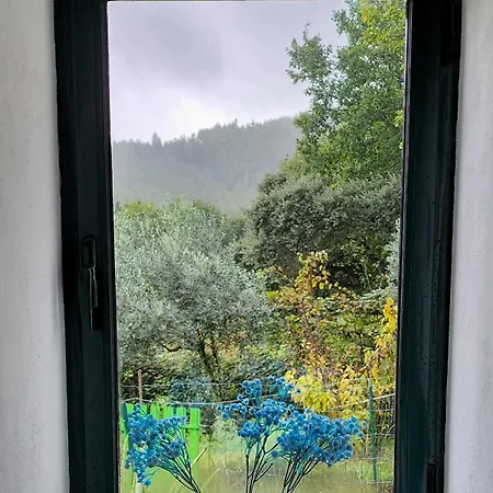 Σπίτι διακοπών A Quinta Da Colina Adega