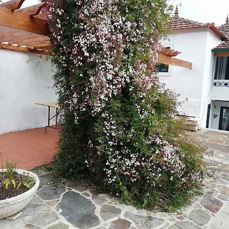 A Quinta Da Colina Adega Casa vacanze *