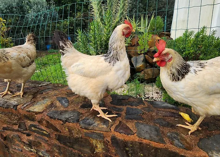 Nyaraló A Quinta Da Colina Adega