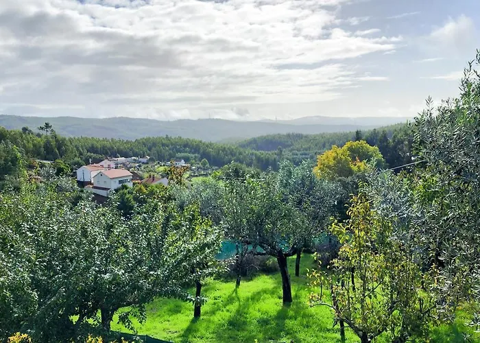 A Quinta Da Colina Adega Дом отдыха *