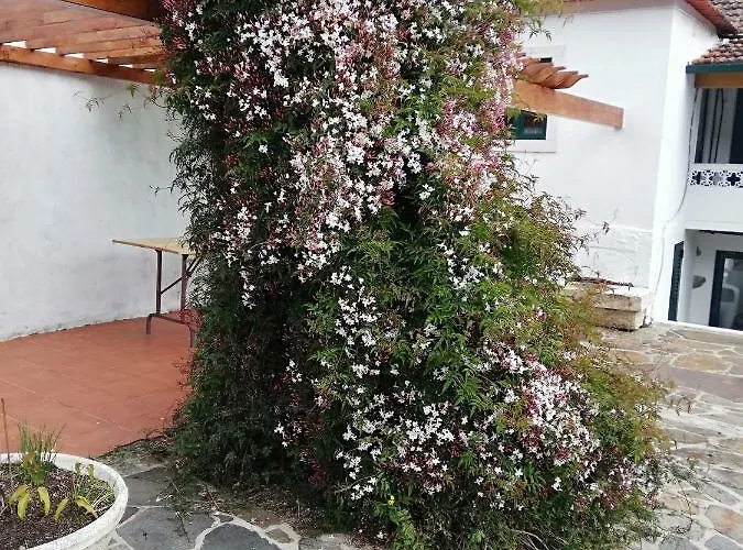 A Quinta Da Colina Adega Nyaraló *